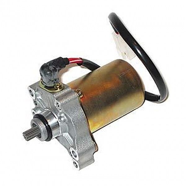 Starter motor, Rotax max