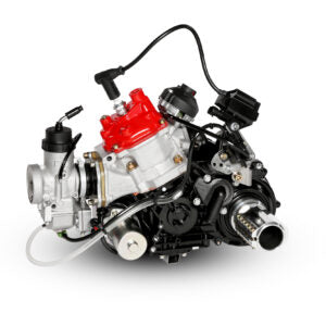 Rotax 125 DD2 Max EVO m/ ny type cylinder