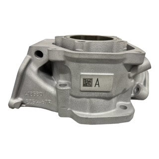 Rotax Junior cylinder 2024