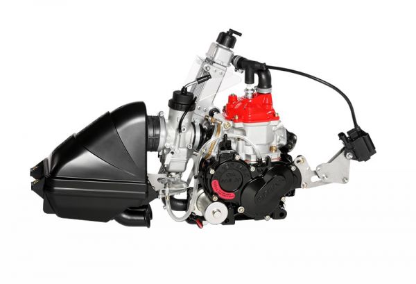 Rotax 125 Micro Max Evo m/ ny type cylinder