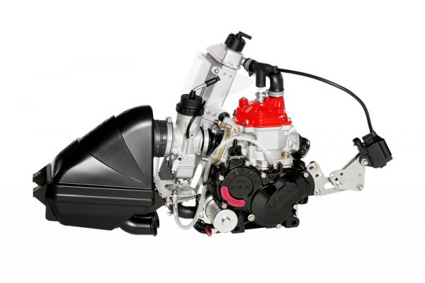 Rotax 125 Junior Max Evo m/ ny type cylinder