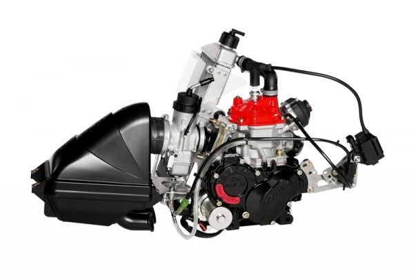 Rotax 125 Senior Max Evo m/ ny type cylinder