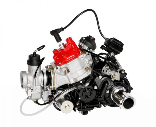 Rotax 125 DD2 Max EVO m/ ny type cylinder