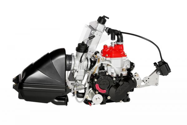 Rotax 125 Mini Max Evo (2025 model)