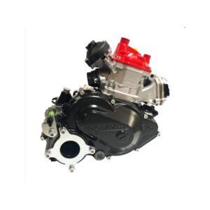 Rotax 125 DD2 Max Evo m/ ny type cylinder Rå motor