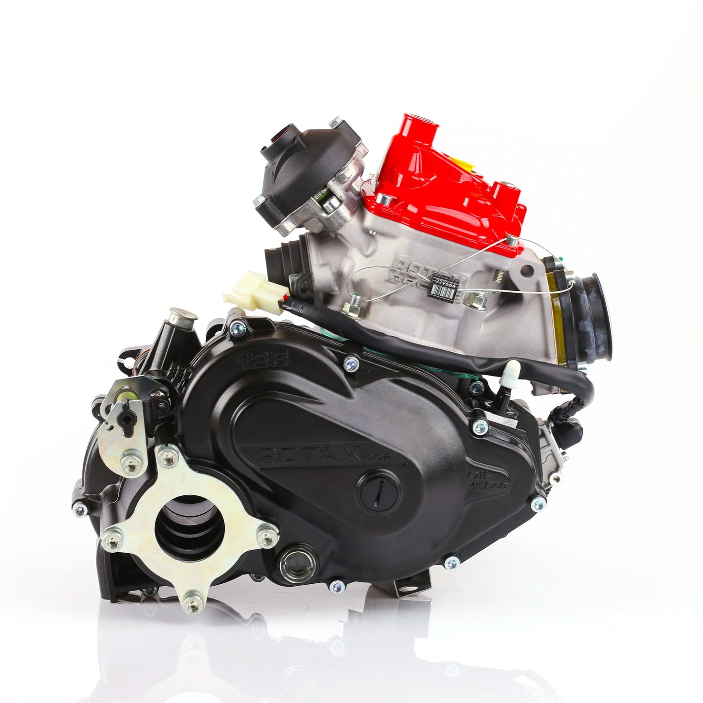 Rotax 125 DD2 Max Evo m/ ny type cylinder Rå motor