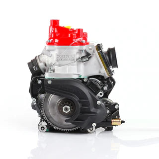 Rotax 125 Micro Max Evo m/ ny type cylinder  Rå motor