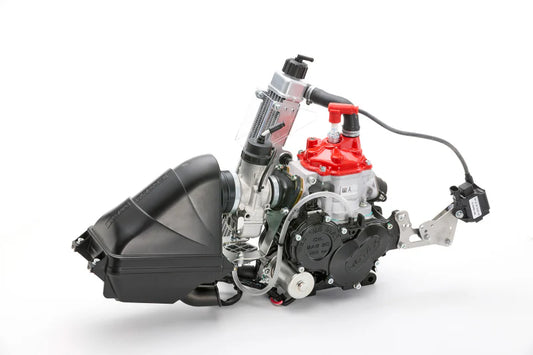 Rotax 125 Mini Max Evo (2025 model)